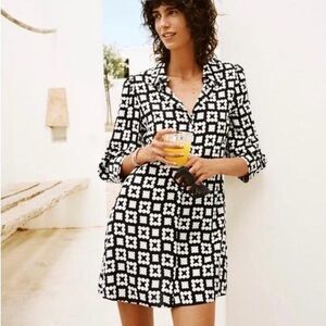 Zara Nadia Button Front Shirt Dress